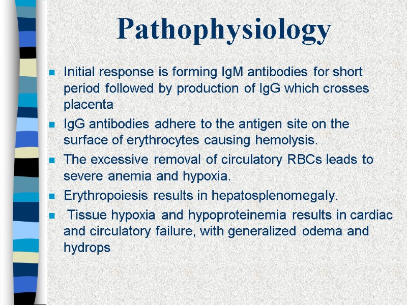 Pathophysiology Initial response is forming IgM antibodies for short period followed by production of
